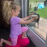 Fun Balance Activities For Preschoolers